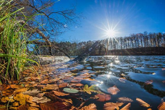 Foto: See im Herbst