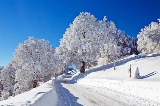 Foto: Schneefahrbahn