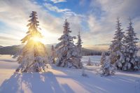 Foto: Winter-Landschaft