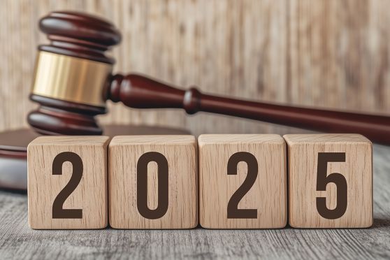 Foto: Richterhammer und Aufschrift 2025